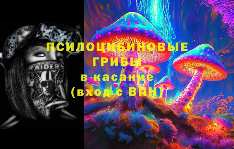 где купить наркотик  omg вход  Псилоцибиновые грибы Cubensis  Кингисепп 